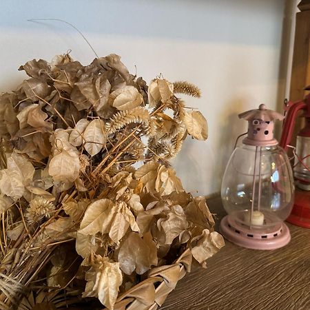Hospedaria Aconchego Santa Teresa  Eksteriør bilde